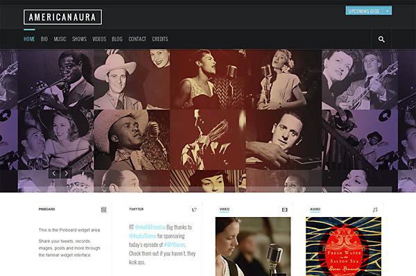 WordPress Theme for Musicians – Americanaura